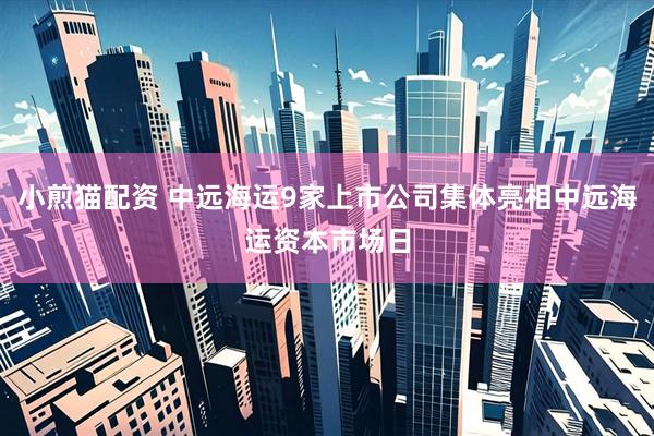 小煎猫配资 中远海运9家上市公司集体亮相中远海运资本市场日