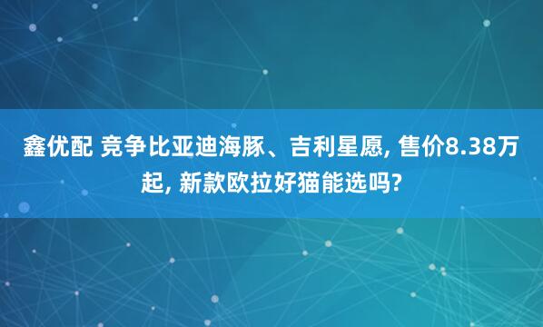 鑫优配 竞争比亚迪海豚、吉利星愿, 售价8.38万起, 新款欧拉好猫能选吗?