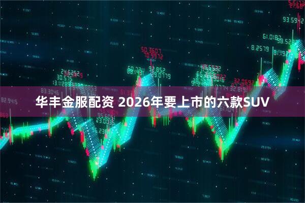 华丰金服配资 2026年要上市的六款SUV